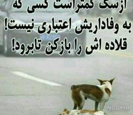عکس پروفایل سگ صفت عکس پروفایل سگ صفت
