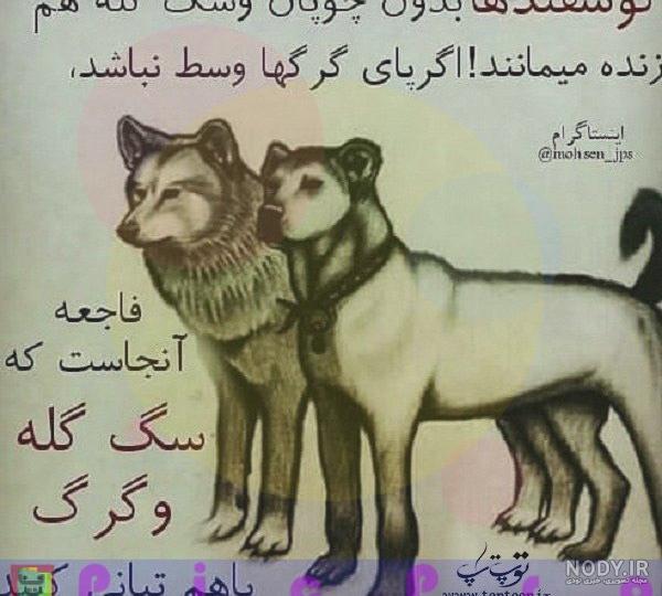 عکس پروفایل سگ صفتی عکس پروفایل سگ صفتی
