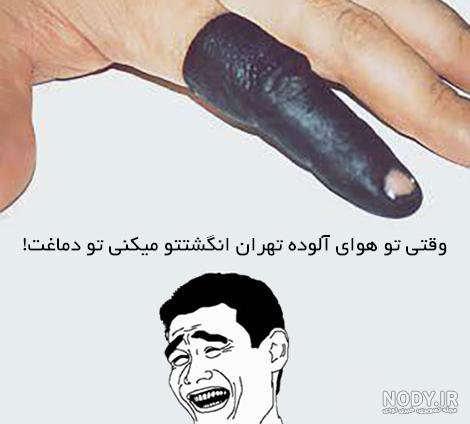 فروش میوه جک فروت
