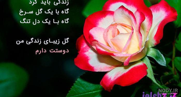 بهترین عکس پروفایل