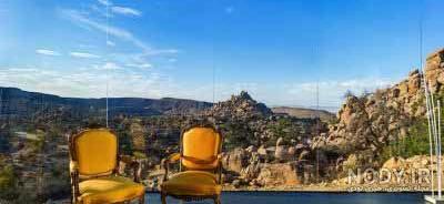 زیباترین کاکتوس های آپارتمانی