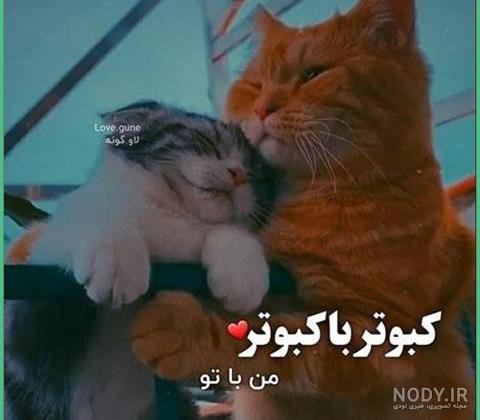 پروفایل دردناک ترین جدایی پروفایل دردناک ترین جدایی