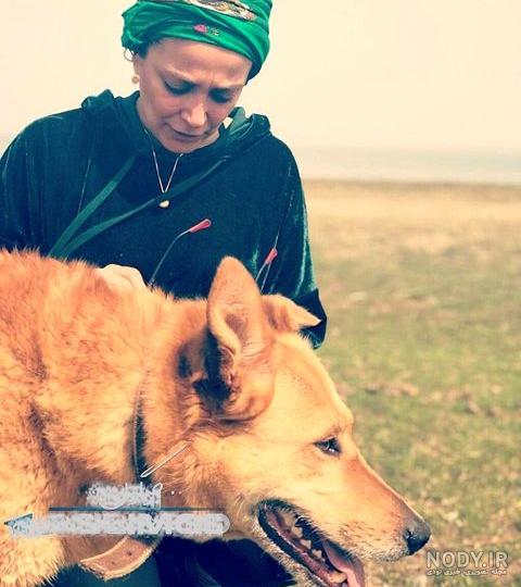 سگ هاسکی در ایران