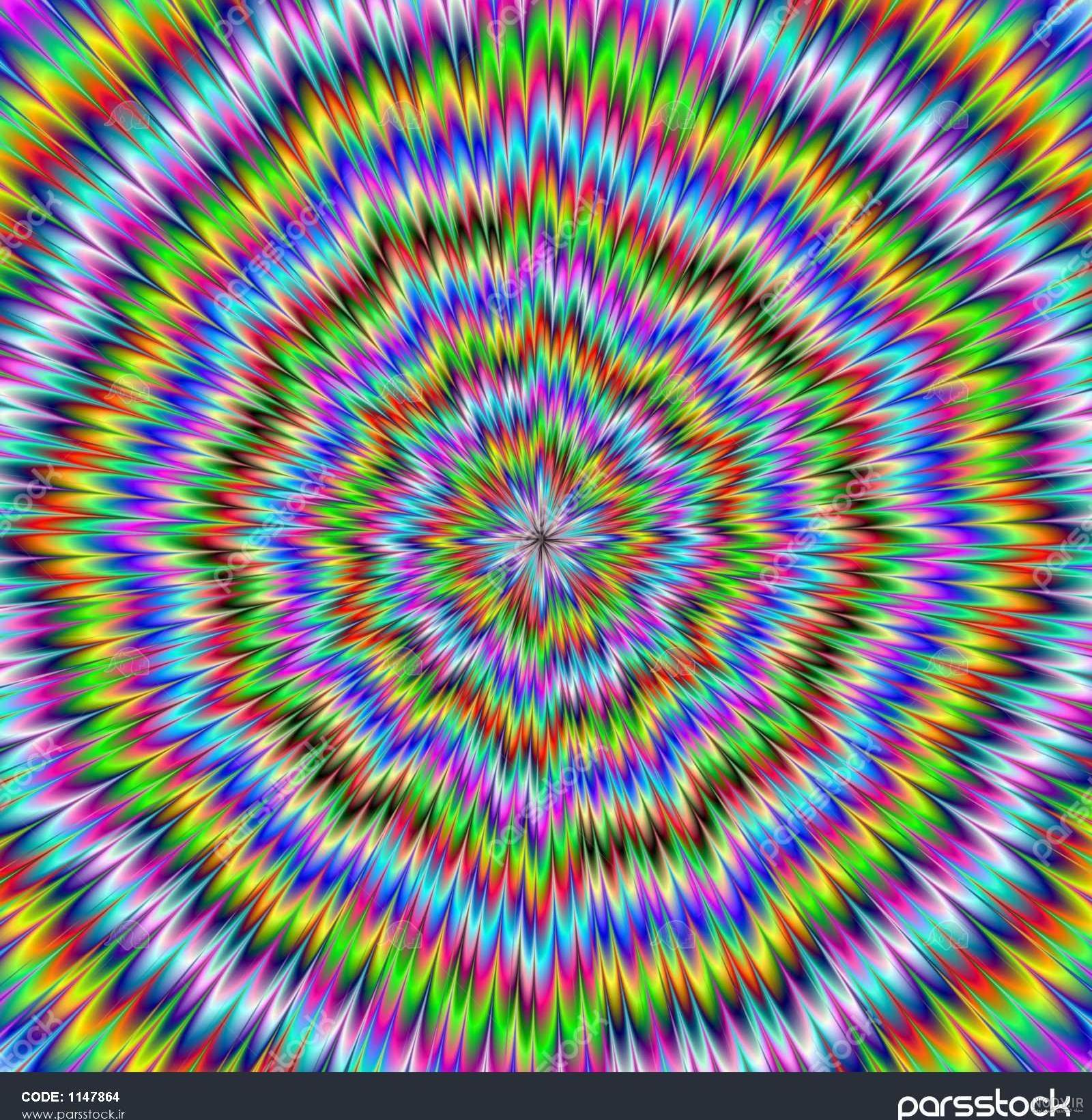 عکس گل رز سبز عکس گل رز سبز