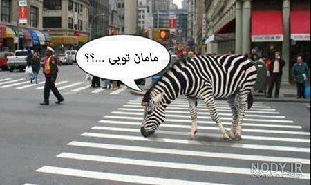 کانال جوک بی مزه