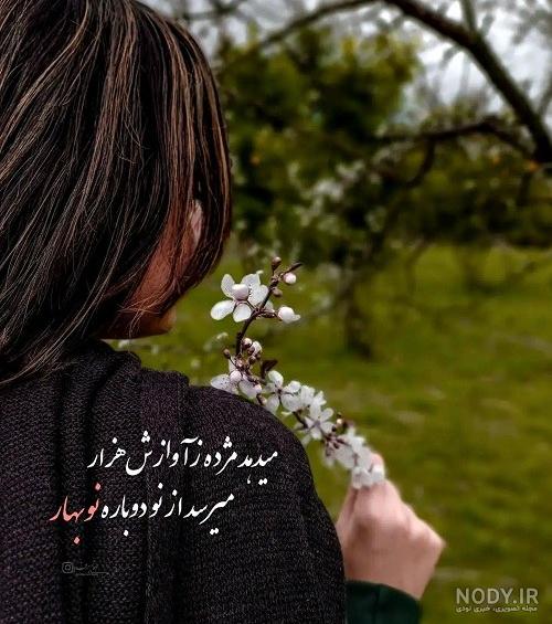 عکس دختر در باغ شکوفه