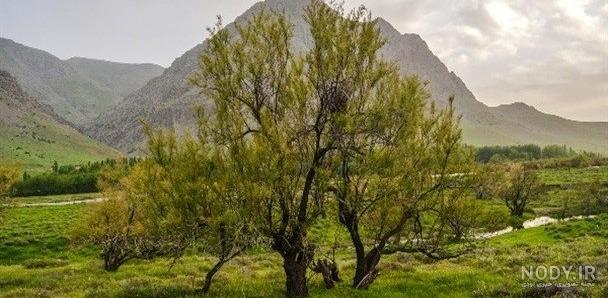 عکس روستای عامله عکس روستای عامله