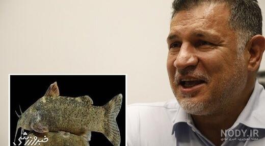 روش از بین بردن ماهی نقره ای