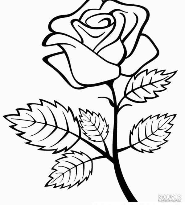 عکس نقاشی گل ساده و زیبا