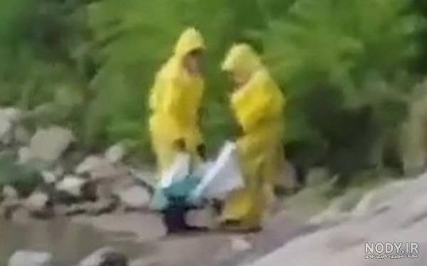 عکس پری دریایی واقعی زنده در خلیج فارس عکس پری دریایی واقعی زنده در خلیج فارس