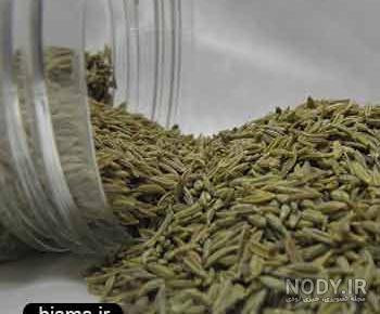 خواص زیره سبز برای رحم خواص زیره سبز برای رحم