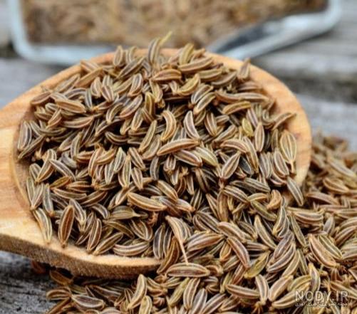 خواص زیره سبز برای لاغری خواص زیره سبز برای لاغری