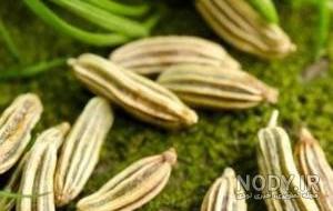 خواص عرق زیره سبز برای لاغری خواص عرق زیره سبز برای لاغری