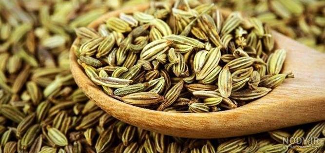 عکس از زیره سبز عکس از زیره سبز