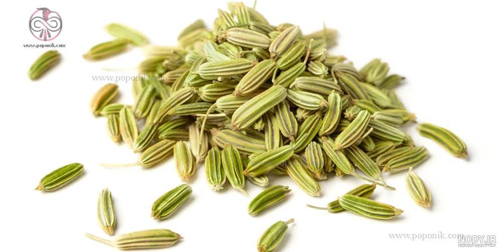 عکس سبزی زیره عکس سبزی زیره