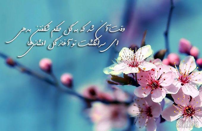 عکس پروفایل بهاری مذهبی عکس پروفایل بهاری مذهبی