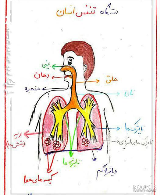 مضرات سیگار