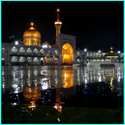 دیدن امام رضا در حرم دیدن امام رضا در حرم