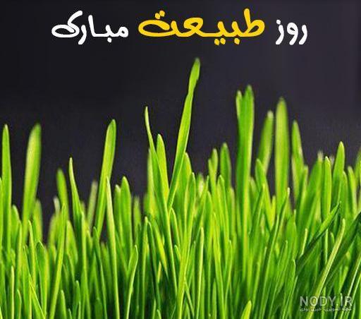 عکس برای سیزده بدر مبارک