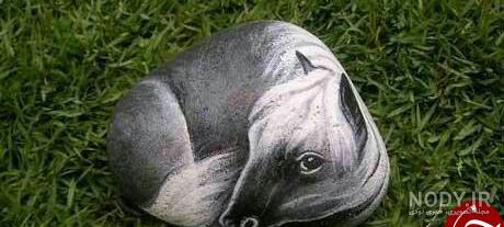 نقاشی کاکتوس روی سنگ نقاشی کاکتوس روی سنگ