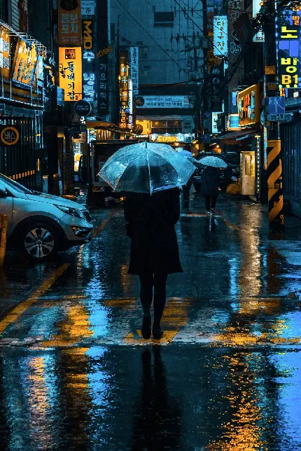 عکس خیابان در شب