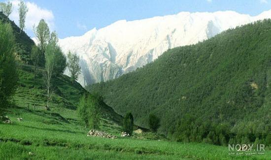 عکس سبز کوه