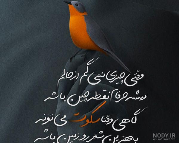 عکس یاس نوروزی در آوای باران عکس یاس نوروزی در آوای باران