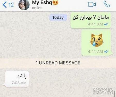 جوک لری زشت