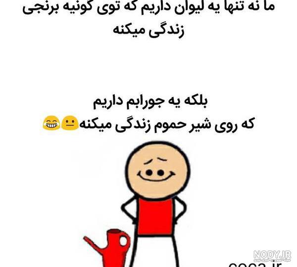 جوک لری کوتاه