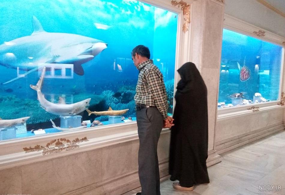 سفره ماهی مانتا
