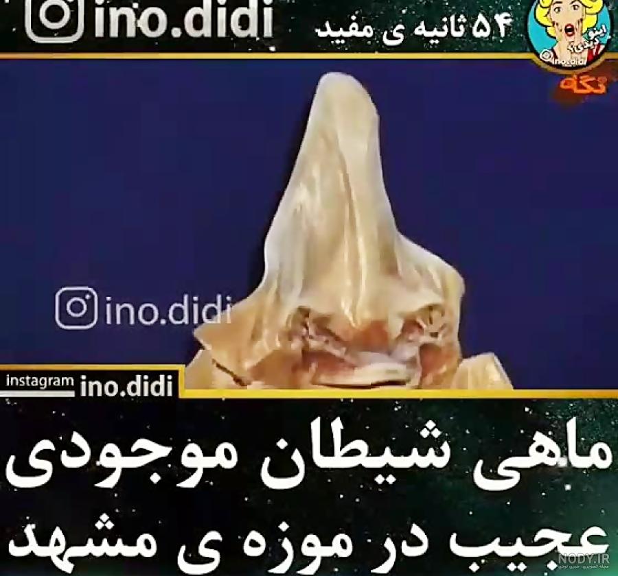شیطان ماهی ویکی پدیا