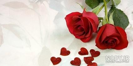 عکس گل رز قرمز با قلب