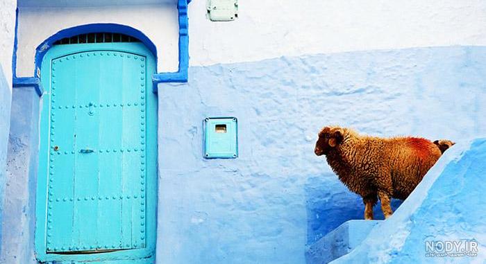 عکس زیبای آبی رنگ عکس زیبای آبی رنگ