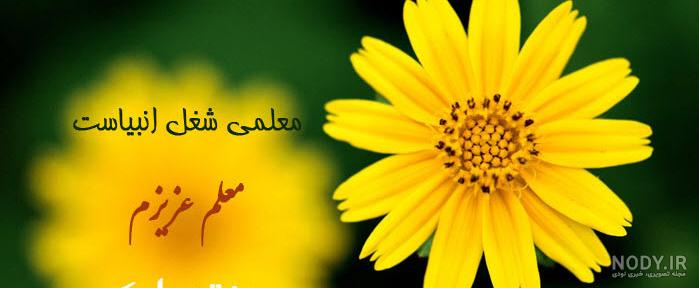 عکس تبریک روز زن