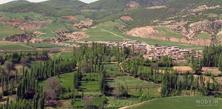 عکس میامی مشهد