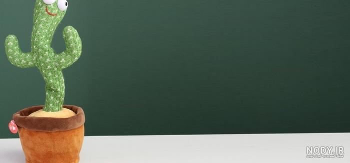عکس کاکتوس اسباب بازی سخنگو