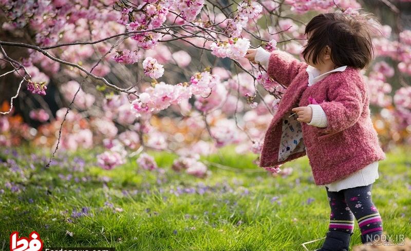 بهترین عکسهای روز دنیا بهترین عکسهای روز دنیا