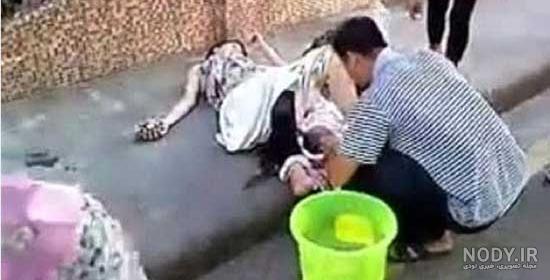 عکس به دنیا آوردن بچه گربه عکس به دنیا آوردن بچه گربه