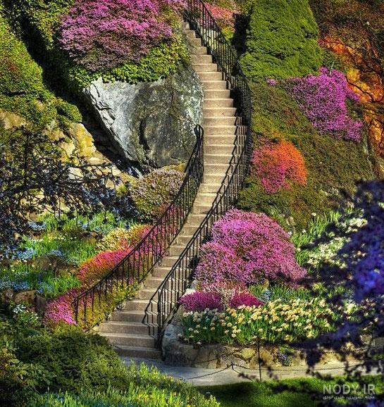 عکس زیبای دنیا عکس زیبای دنیا