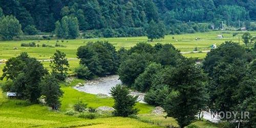 عکس طبیعت بهاری