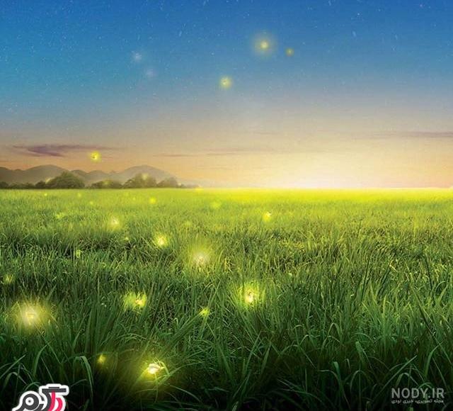 عکس های زیبا از طبیعت شمال ایران