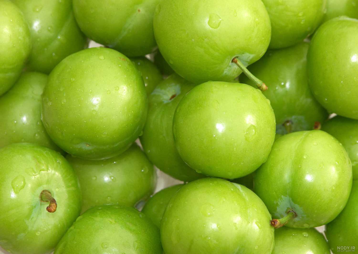 عکس آلوچه سبز بزرگ عکس آلوچه سبز بزرگ