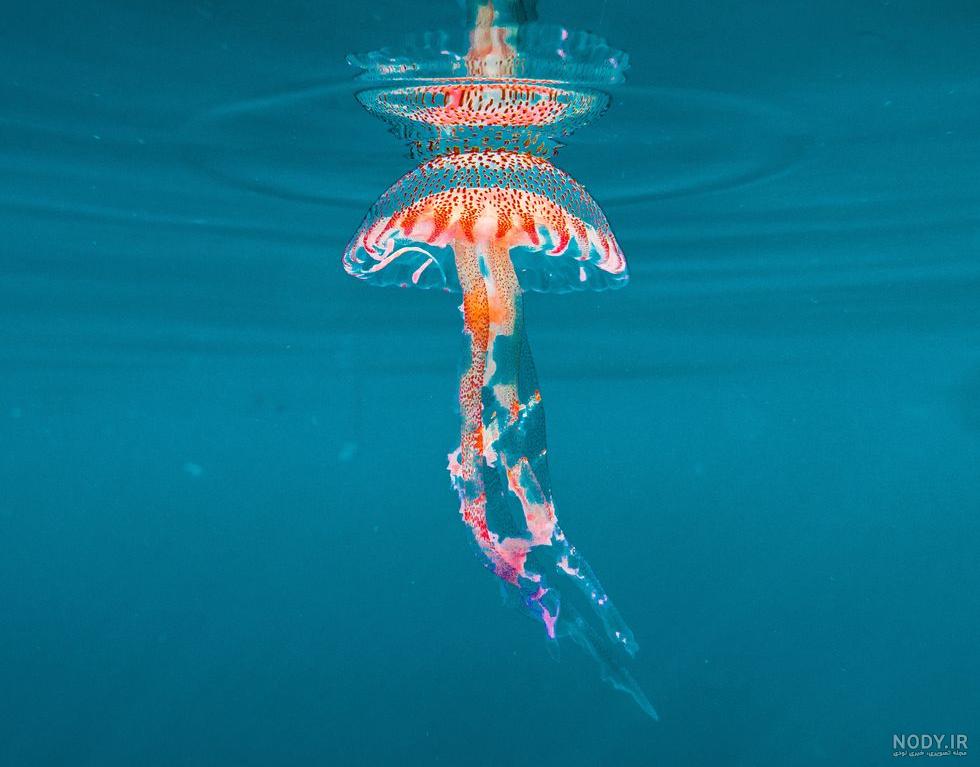 عکس موج دریا واقعی