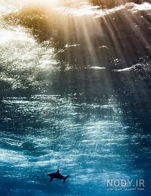 عکس موج دریا واقعی