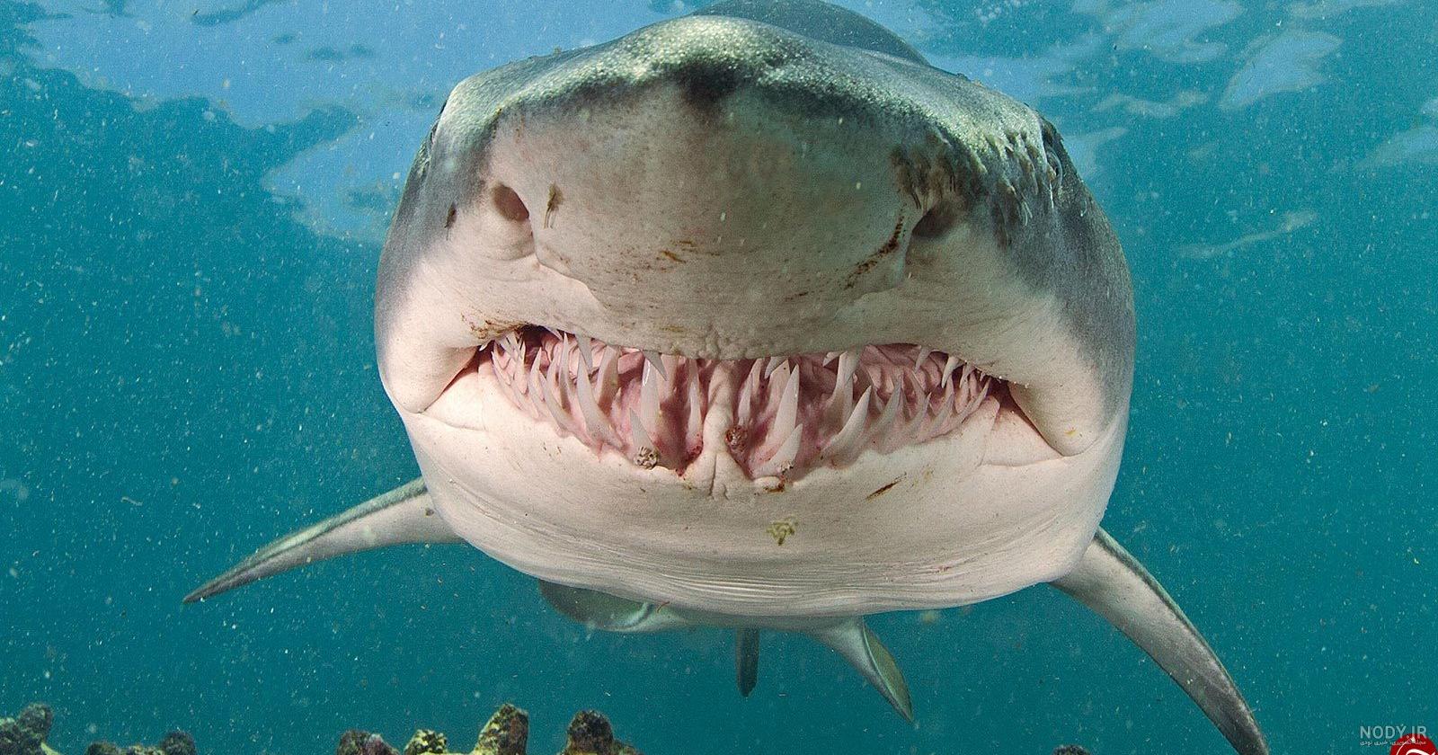 عکس موج دریا واقعی