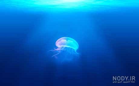 عکس موج دریا واقعی