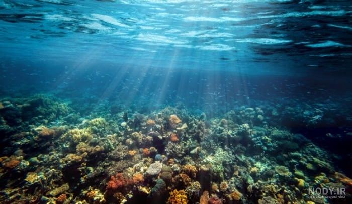 عکس موج دریا واقعی