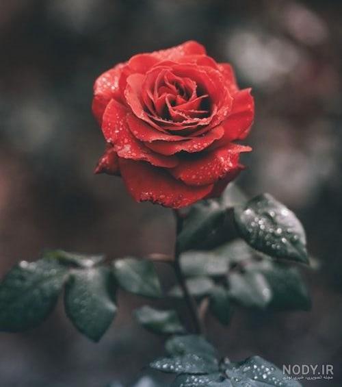 تصویر زمینه زرد پسرانه تصویر زمینه زرد پسرانه