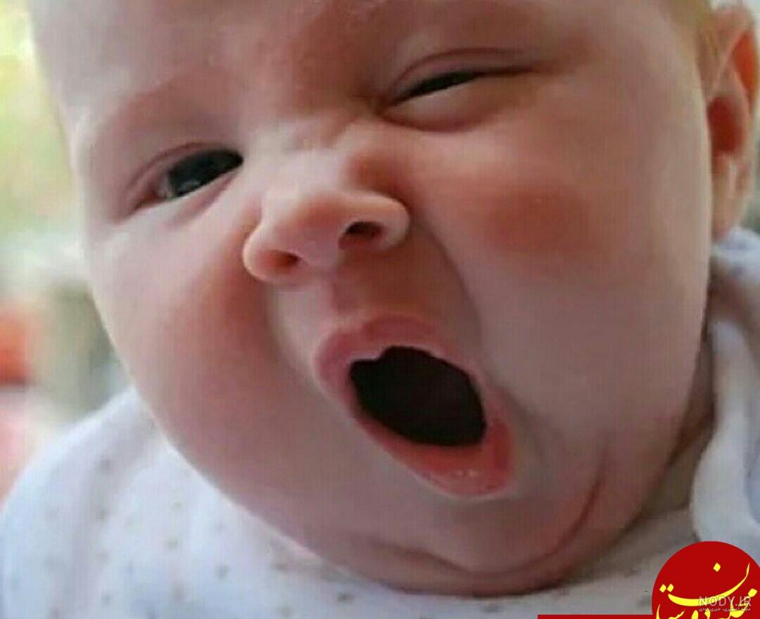 عکس خوابالوها عکس خوابالوها