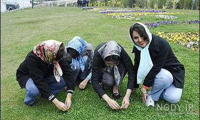 نقاشی سیزده بدر در خانه